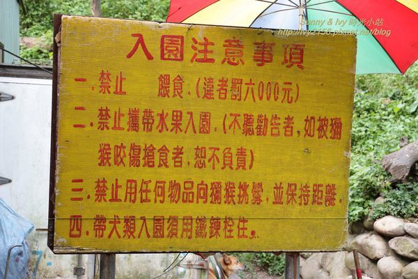 IMG_8931.jpg IMG_8931.jpg