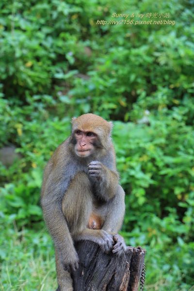 IMG_8922.jpg IMG_8922.jpg