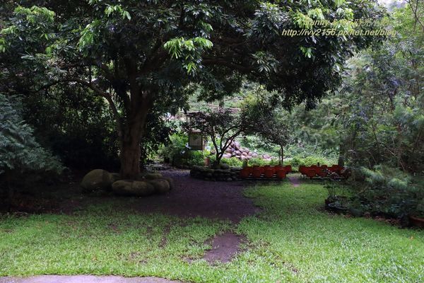 IMG_8994.jpg IMG_8994.jpg