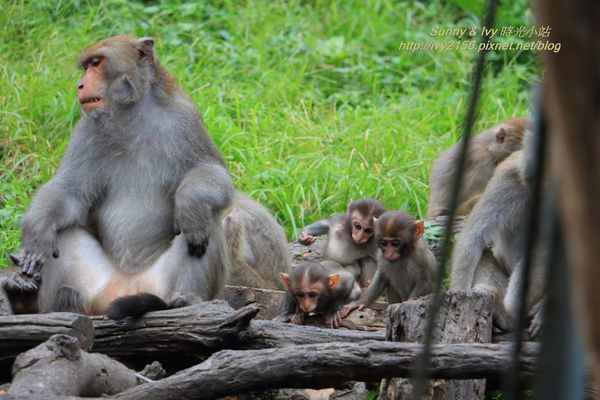 IMG_8949.jpg IMG_8949.jpg