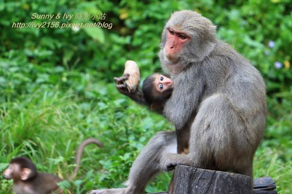 IMG_8987.jpg IMG_8987.jpg