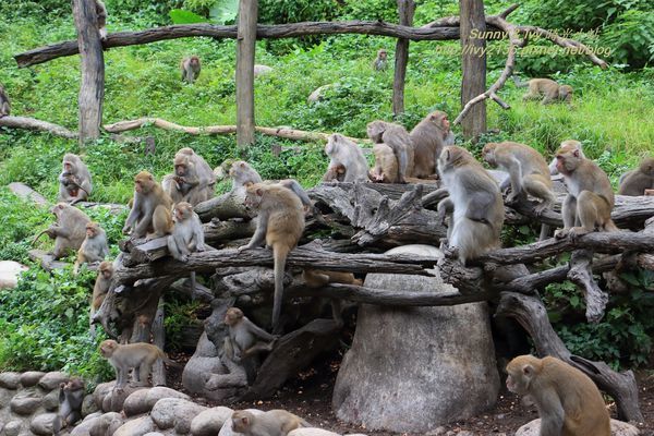 IMG_8953.jpg IMG_8953.jpg