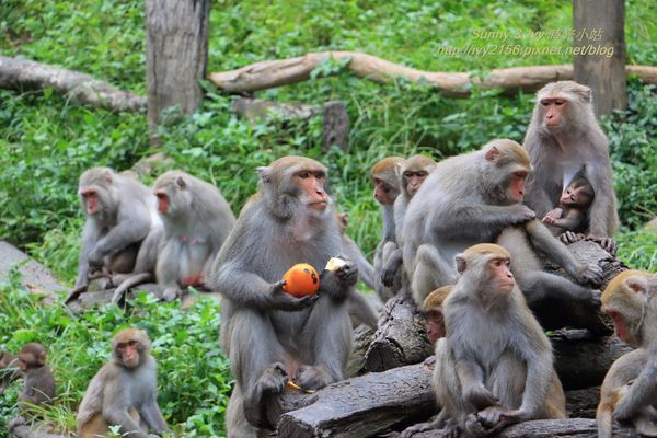 IMG_8959.jpg IMG_8959.jpg