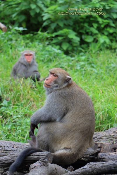 IMG_8942.jpg IMG_8942.jpg