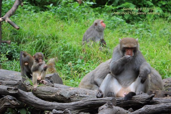 IMG_8946.jpg IMG_8946.jpg