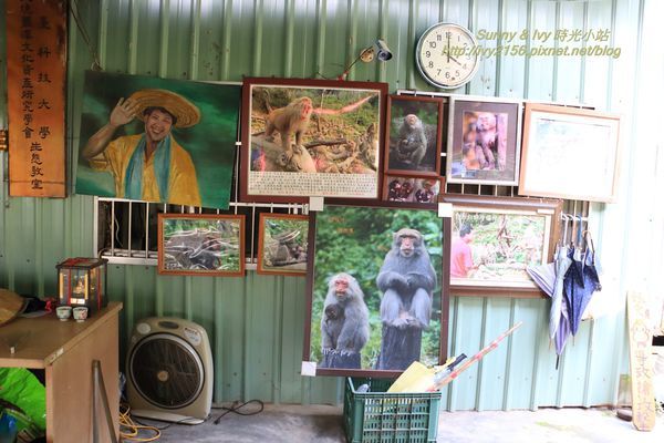 IMG_8930.jpg IMG_8930.jpg