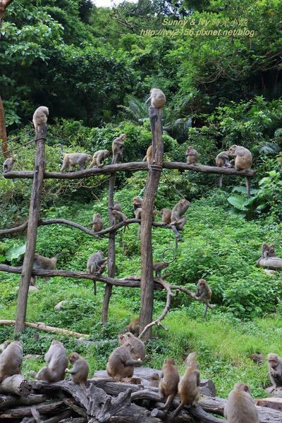 IMG_8981.jpg IMG_8981.jpg