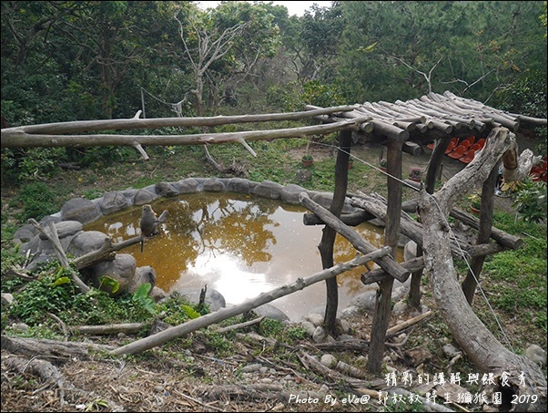 郭叔叔野生獼猴園-23.jpg