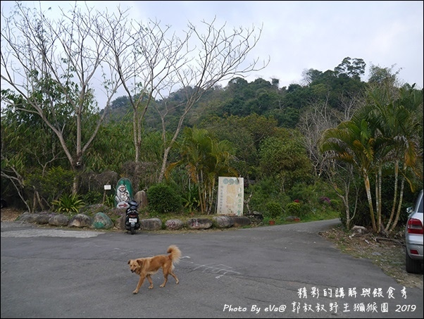 郭叔叔野生獼猴園-11.jpg