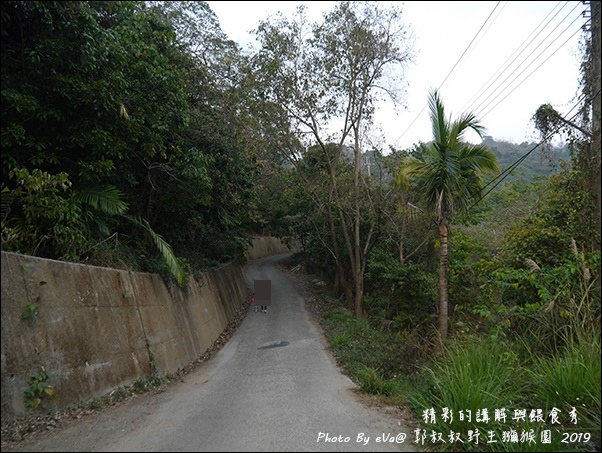 郭叔叔野生獼猴園-08.jpg