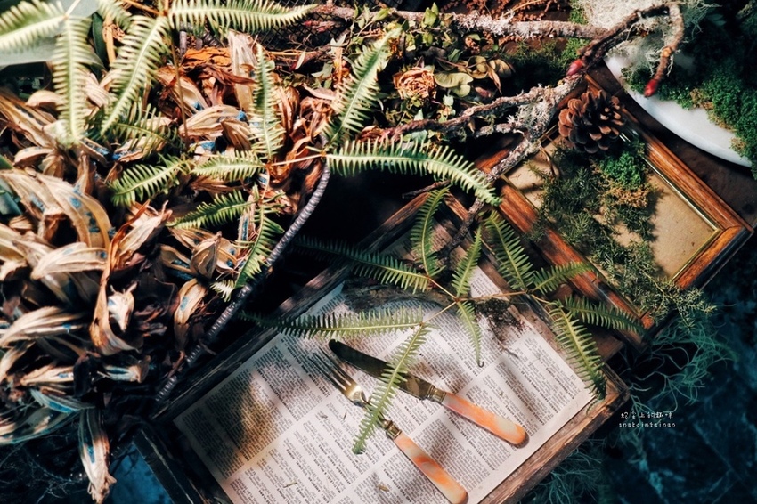 2019420_190420_0022.jpg 2019420_190420_0022.jpg