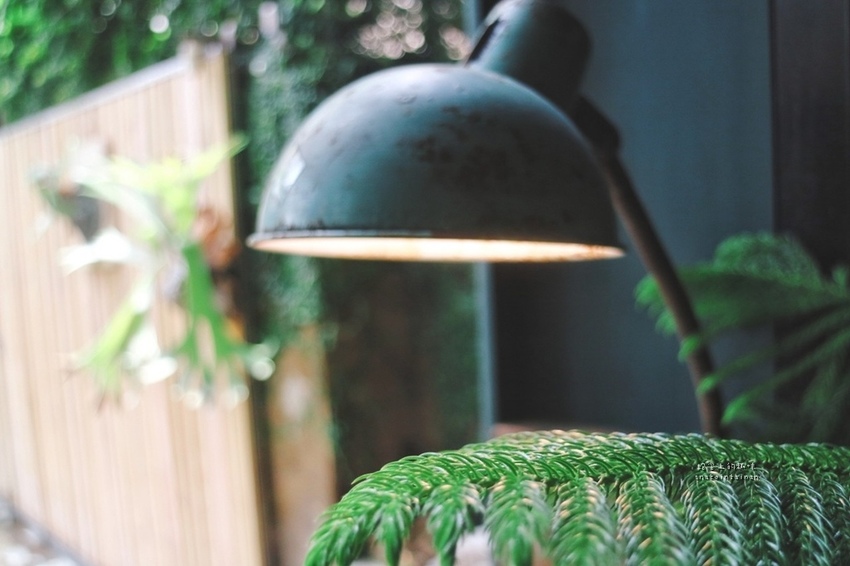 2019420_190420_0020.jpg 2019420_190420_0020.jpg