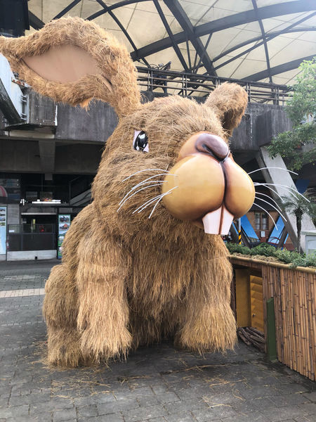 圓圓家出去玩-<宜蘭景點>2019綠色博覽會,乘船入園好有趣,冬山美景盡收眼底~免費入園秘訣傳授給你