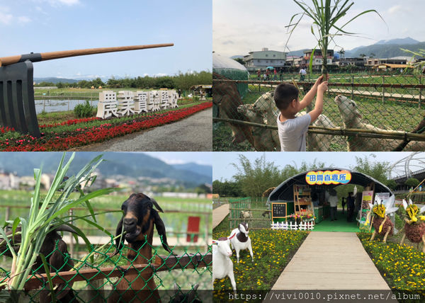 圓圓家出去玩-<宜蘭景點>2019綠色博覽會,乘船入園好有趣,冬山美景盡收眼底~免費入園秘訣傳授給你