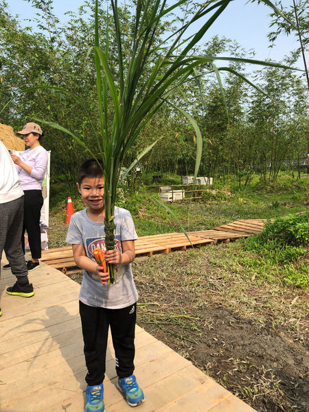 圓圓家出去玩-<宜蘭景點>2019綠色博覽會,乘船入園好有趣,冬山美景盡收眼底~免費入園秘訣傳授給你