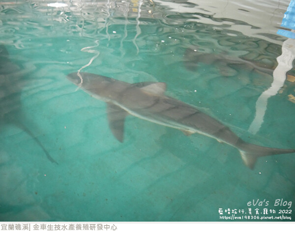 金車生技水產養殖研發中心-32.jpg