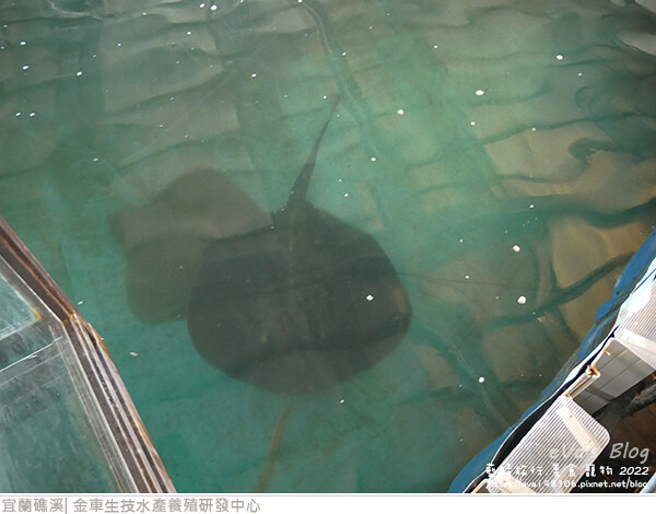 金車生技水產養殖研發中心-28.jpg