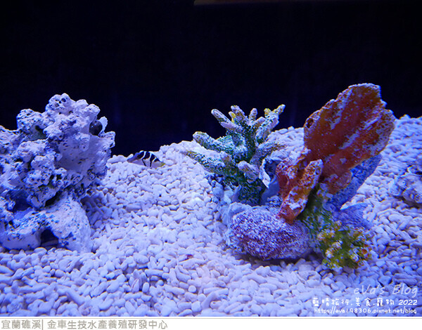 金車生技水產養殖研發中心-50.jpg