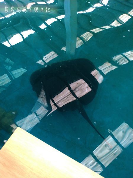 金車生技水產養殖中心