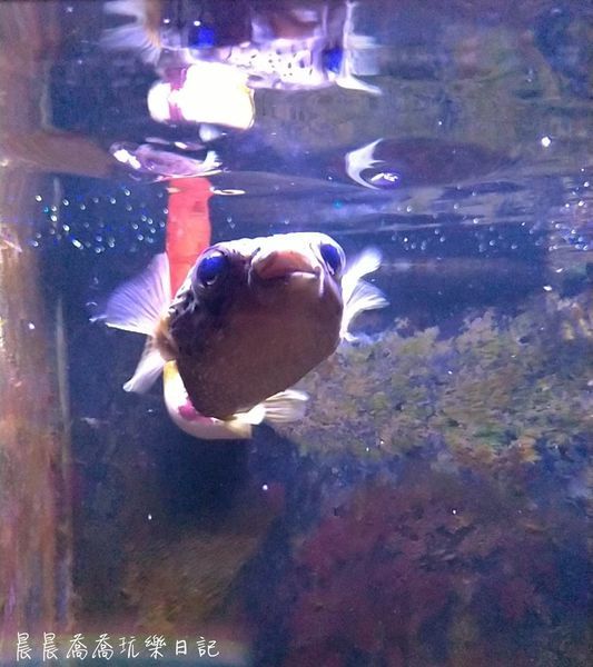 金車生技水產養殖中心