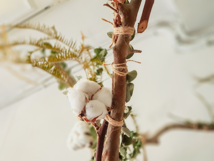 高雄美食||游李家-大塊鮭魚放進披薩裡，宛如家一般的手作披薩店||前金區