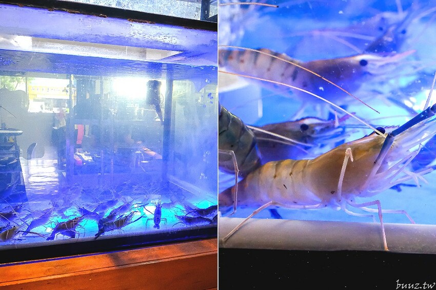 伊比利豬排、和牛、現撈泰國蝦，羊角炭火燒肉吃到飽，百種食材加冰淇淋通通吃到飽！