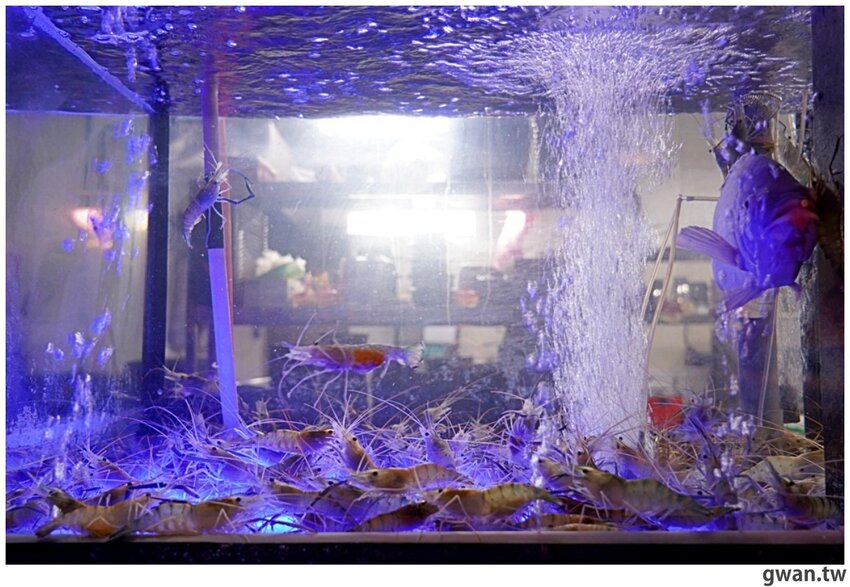 台中少見的機器人燒肉店,近百種食材,日本和牛任你吃到飽!