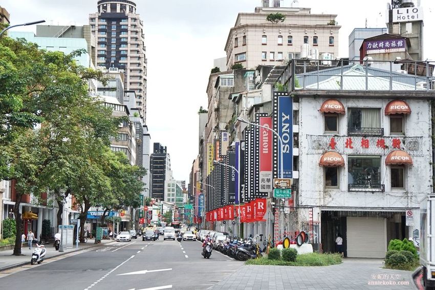 [台北聚餐餐廳推薦] 蘑菇森林義式餐廳 數十種義式料理 夢幻的森林空間 鄰近台北車站 - 安妮的天空