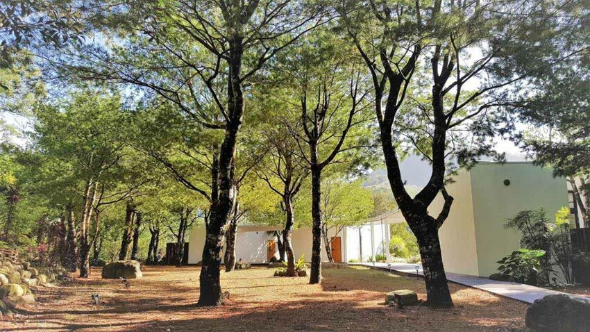 八角隱士莊園 八角隱士莊園