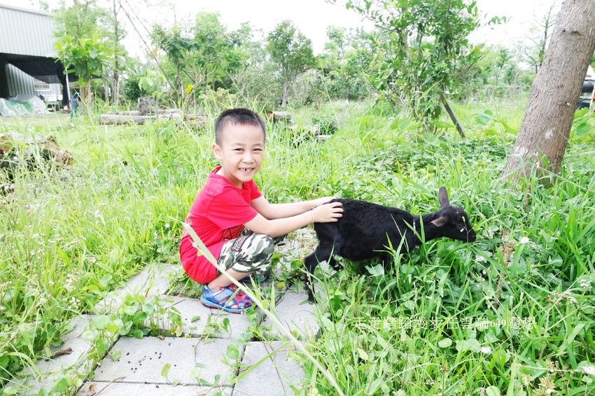 SAM_5029.JPG SAM_5029.JPG