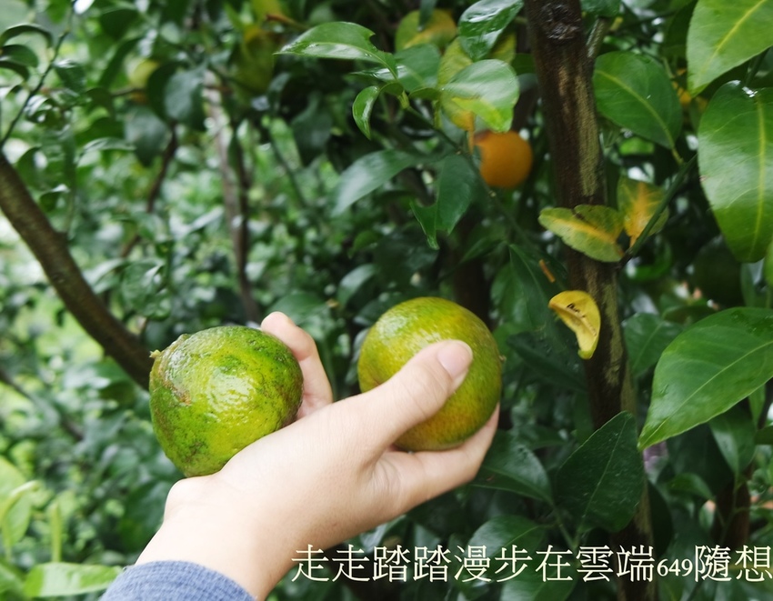 SAM_3024.JPG SAM_3024.JPG