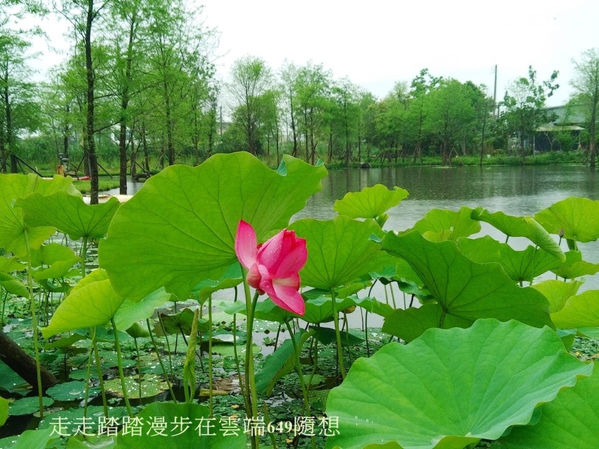 58462754_2612275795454078_3762173489079910400_o.jpg 58462754_2612275795454078_3762173489079910400_o.jpg