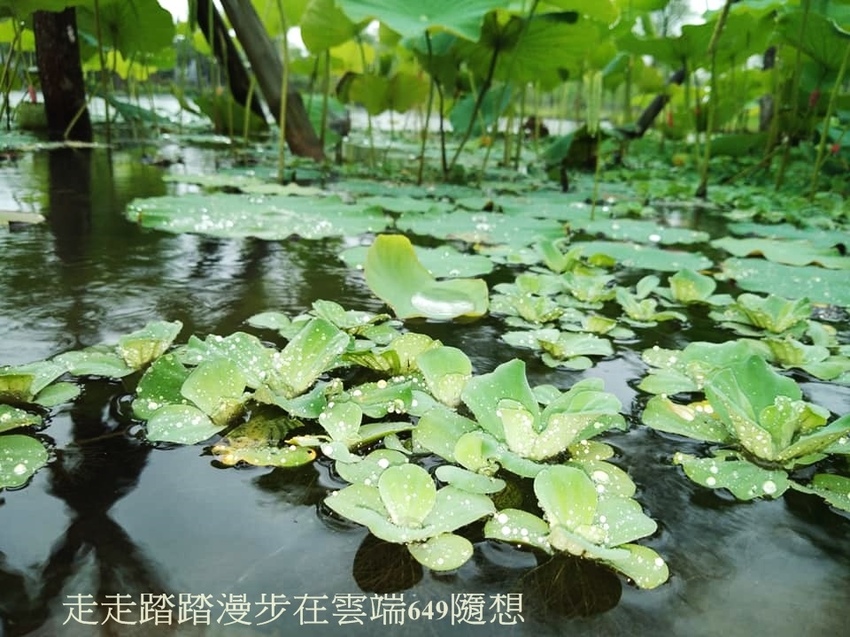 58380965_2611887592159565_9085005653914681344_n.jpg 58380965_2611887592159565_9085005653914681344_n.jpg