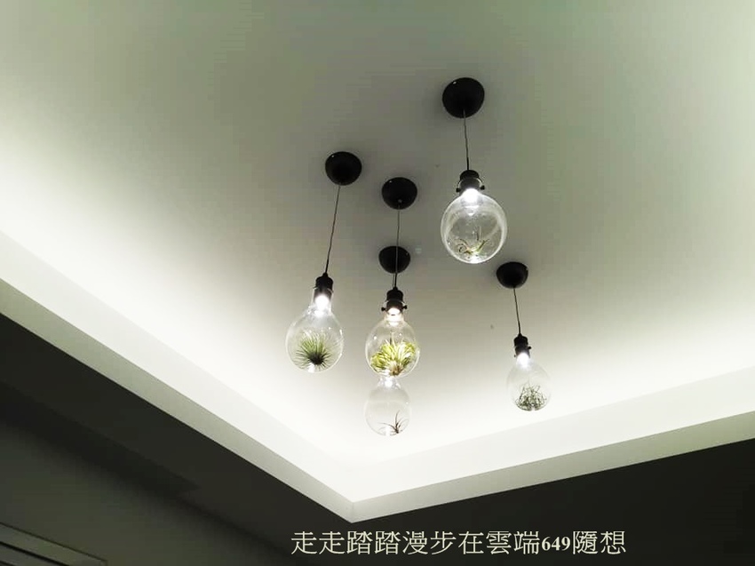 58542945_2611888892159435_6557078943910854656_n.jpg 58542945_2611888892159435_6557078943910854656_n.jpg