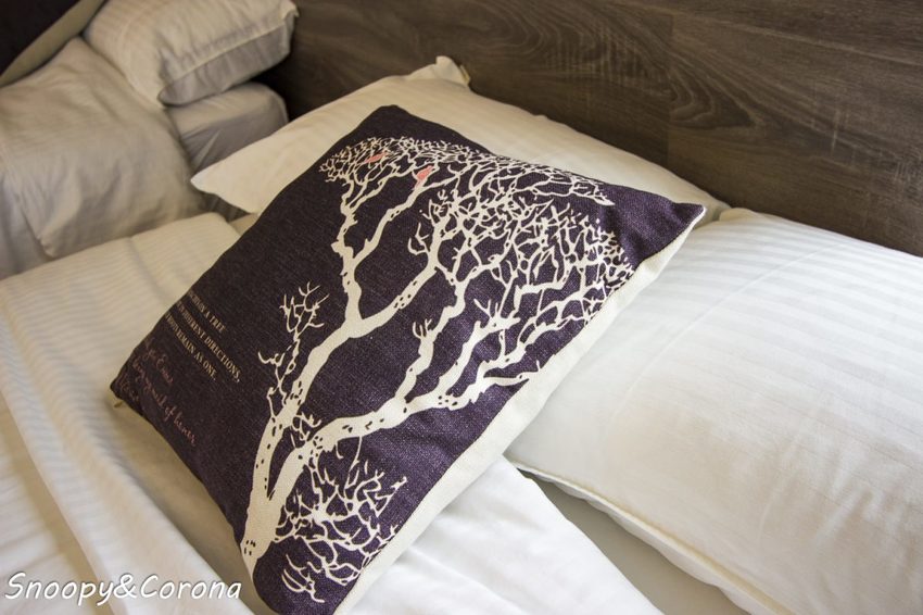 【住宿.宜蘭】宜蘭員山包棟民宿/十六崁民宿~佔地寬廣、生態豐富,划船、餵魚、烤肉,還有落羽松小徑