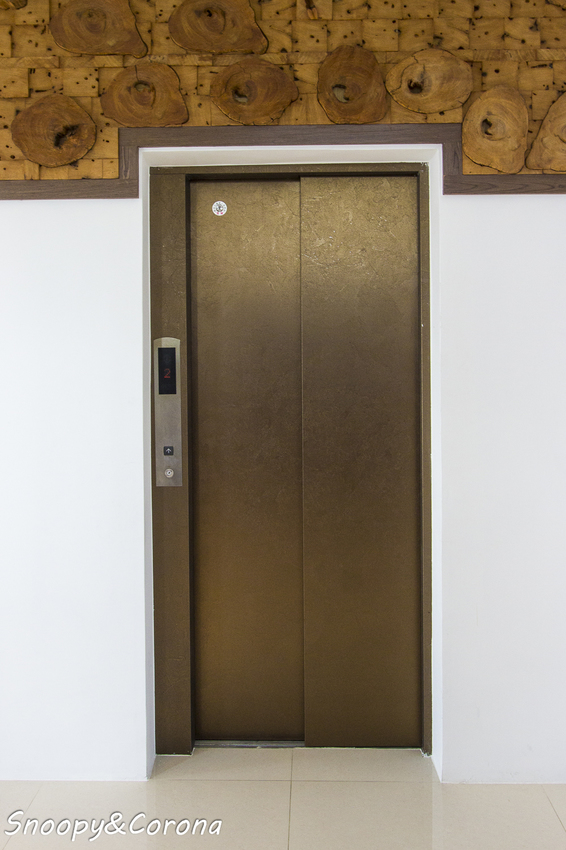 【住宿.宜蘭】宜蘭員山包棟民宿/十六崁民宿~佔地寬廣、生態豐富,划船、餵魚、烤肉,還有落羽松小徑