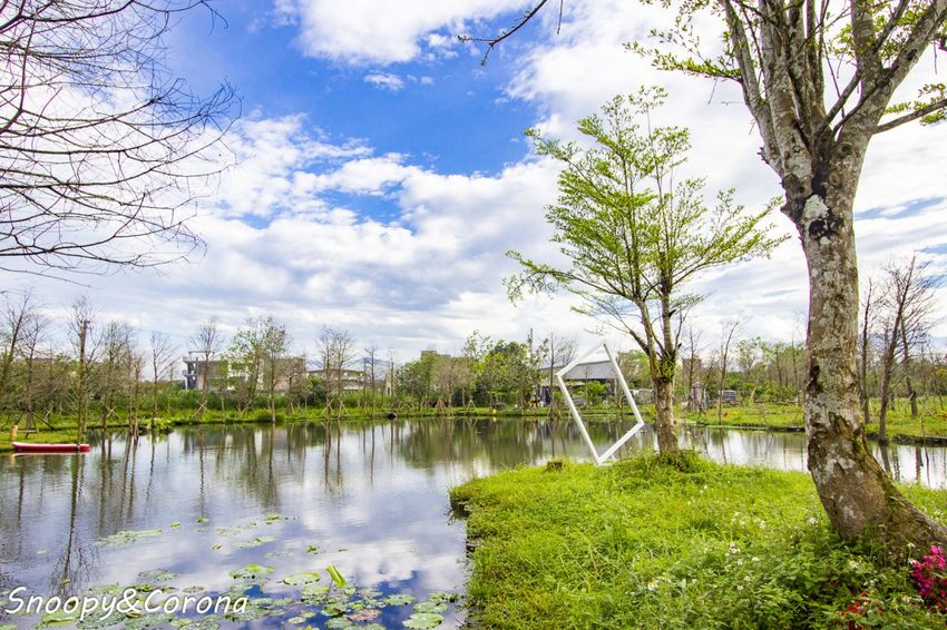 【住宿.宜蘭】宜蘭員山包棟民宿/十六崁民宿~佔地寬廣、生態豐富,划船、餵魚、烤肉,還有落羽松小徑