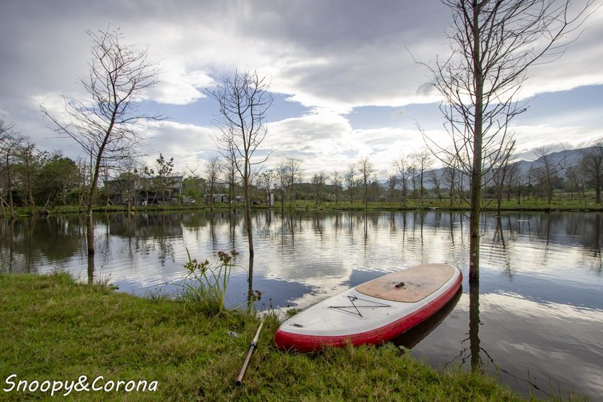 【住宿.宜蘭】宜蘭員山包棟民宿/十六崁民宿~佔地寬廣、生態豐富,划船、餵魚、烤肉,還有落羽松小徑