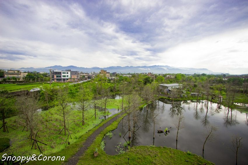 【住宿.宜蘭】宜蘭員山包棟民宿/十六崁民宿~佔地寬廣、生態豐富,划船、餵魚、烤肉,還有落羽松小徑