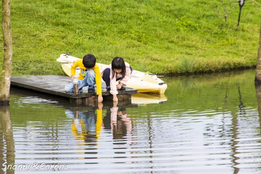 【住宿.宜蘭】宜蘭員山包棟民宿/十六崁民宿~佔地寬廣、生態豐富,划船、餵魚、烤肉,還有落羽松小徑
