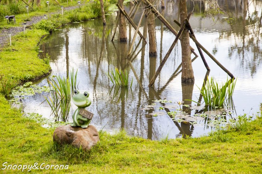 【住宿.宜蘭】宜蘭員山包棟民宿/十六崁民宿~佔地寬廣、生態豐富,划船、餵魚、烤肉,還有落羽松小徑