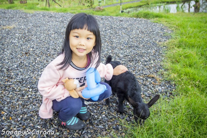 【住宿.宜蘭】宜蘭員山包棟民宿/十六崁民宿~佔地寬廣、生態豐富,划船、餵魚、烤肉,還有落羽松小徑