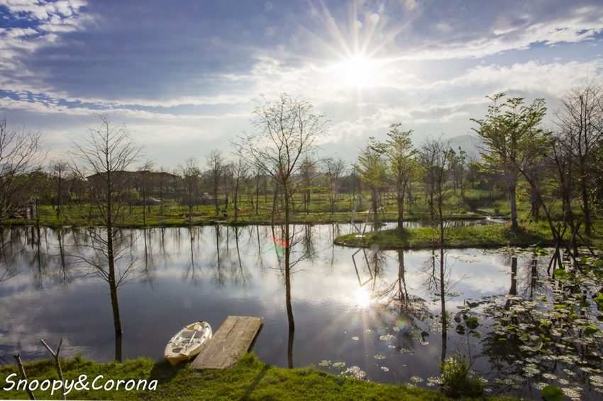 【住宿.宜蘭】宜蘭員山包棟民宿/十六崁民宿~佔地寬廣、生態豐富,划船、餵魚、烤肉,還有落羽松小徑