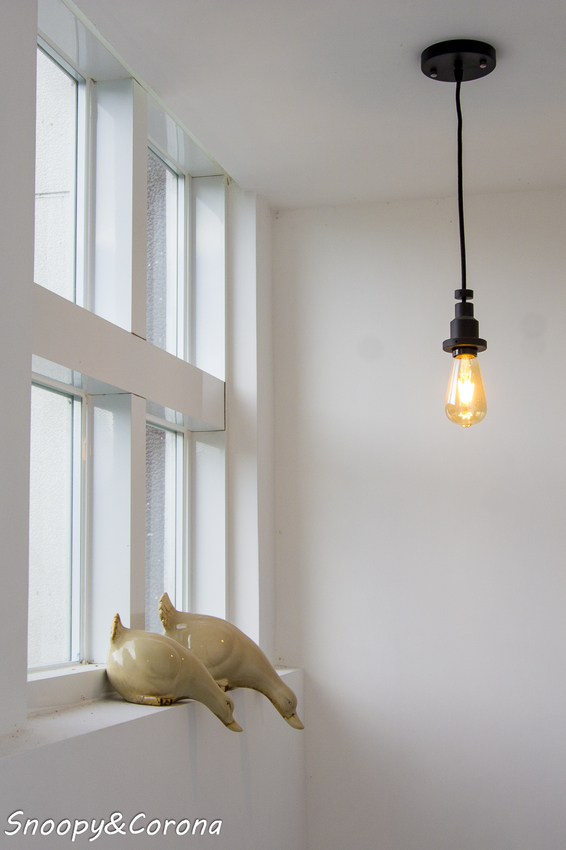 【住宿.宜蘭】宜蘭員山包棟民宿/十六崁民宿~佔地寬廣、生態豐富,划船、餵魚、烤肉,還有落羽松小徑