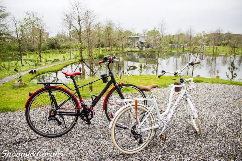 【住宿.宜蘭】宜蘭員山包棟民宿/十六崁民宿~佔地寬廣、生態豐富,划船、餵魚、烤肉,還有落羽松小徑