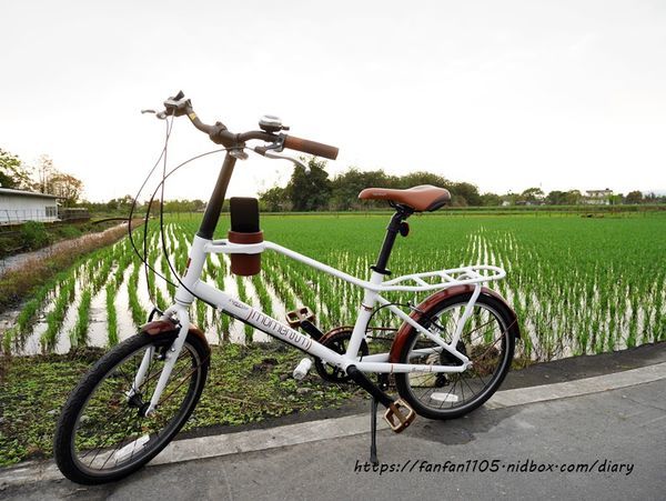 【宜蘭民宿包棟】十六崁民宿 宜蘭絕美民宿 #烤肉 #划船 #落羽松 #草坪 #包棟 #宜蘭民宿推薦 #宜蘭親子民宿 (32).JPG