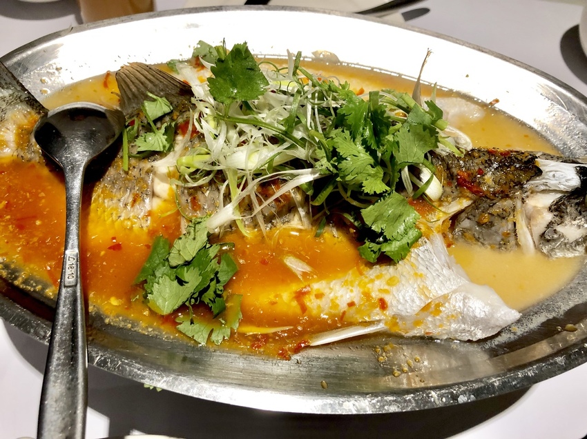 IMG_7951.jpg IMG_7951.jpg