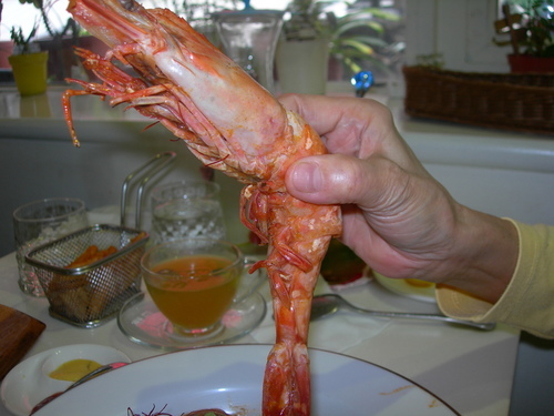 DSCN8211.JPG - 歐亞米