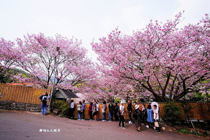 IMG_3100.JPG IMG_3100.JPG