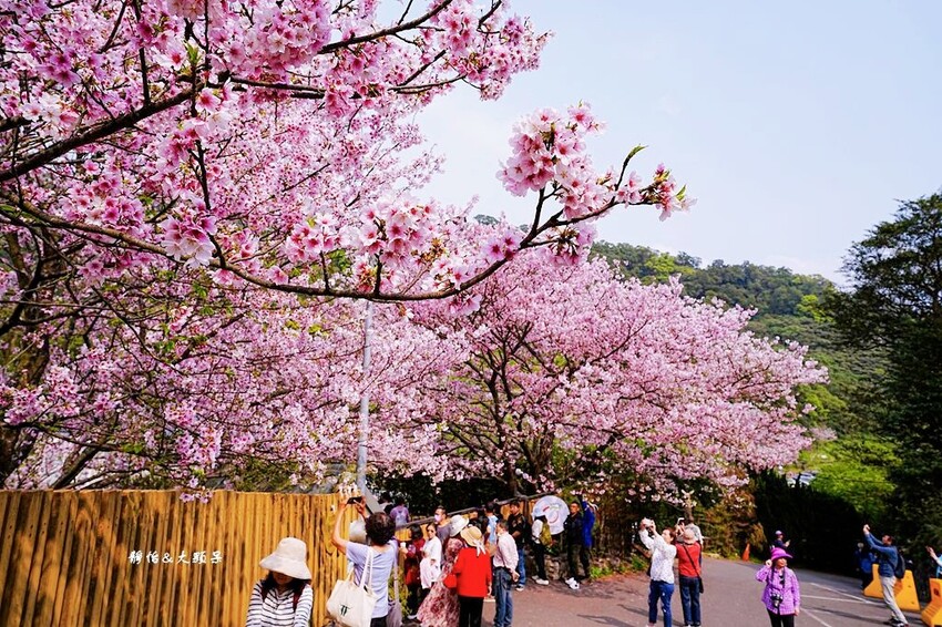 IMG_3101.JPG IMG_3101.JPG